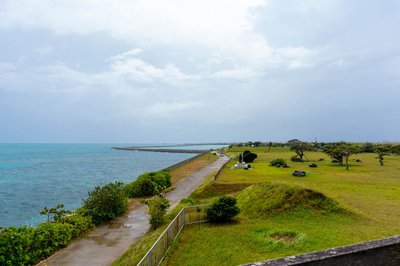🌳 남쪽 해변마을 녹지공원 (파이누하마초료쿠치코엔)